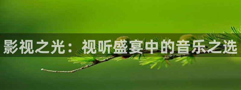 榜上佳婿全集完整版星辰影院